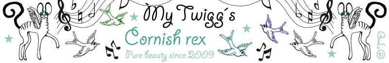 Banner Cattery My Twiggs *SE