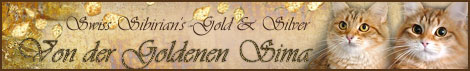 Banner Cattery von der Goldenen Sima