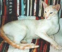 Patrician Tobias
